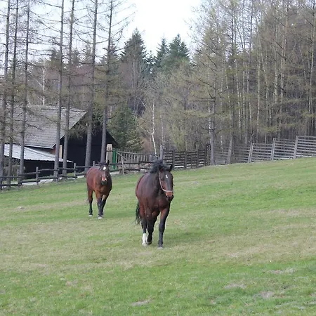 Rancho Kwapiszow *